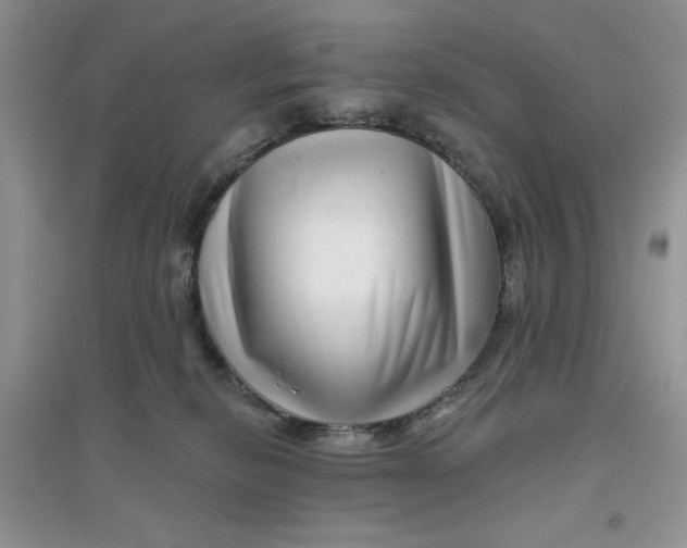 X0000096170278200802081418