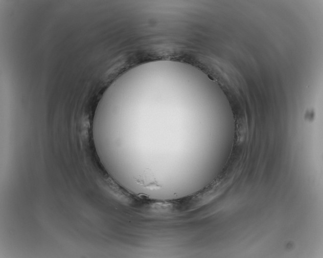 X0000096170279200802081418