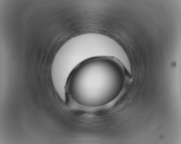 X0000096170280200802081418