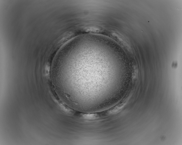 X0000096170281200802081418