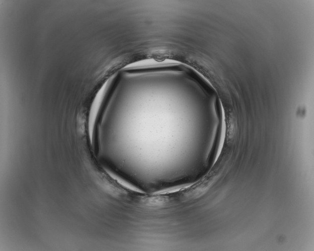 X0000096170282200802081418