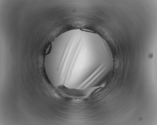 X0000096170283200802081418