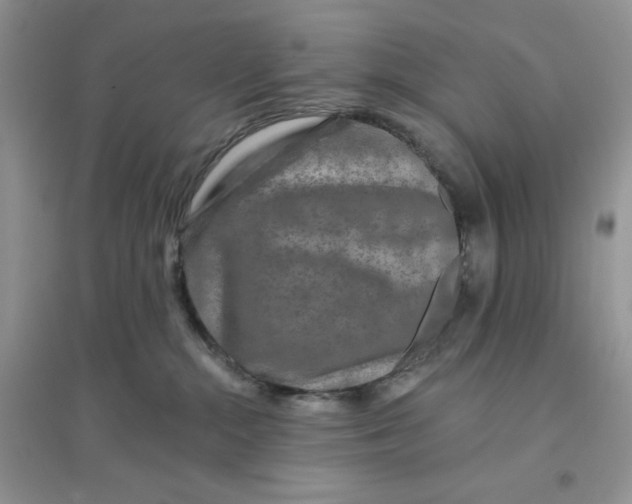 X0000096170284200802081418