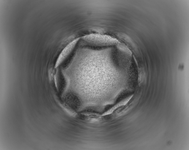 X0000096170285200802081418