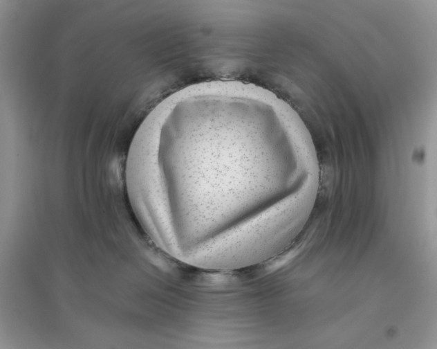 X0000096170286200802081418