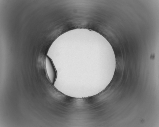 X0000096170287200802081418