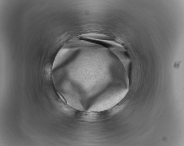 X0000096170288200802081418