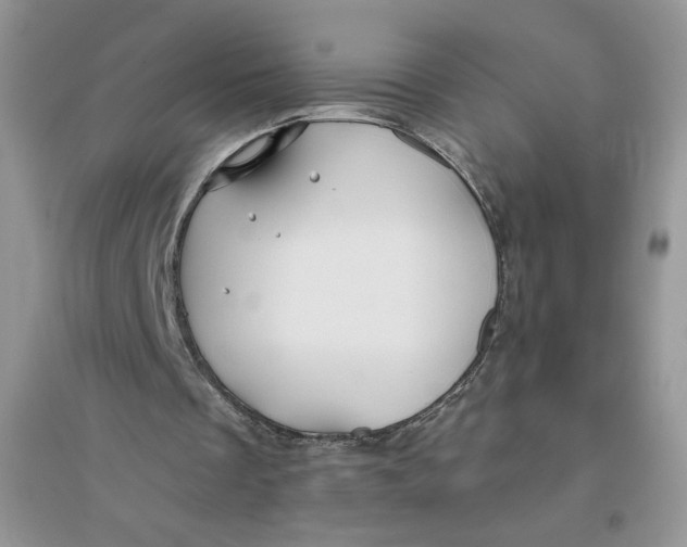 X0000096170289200802081417