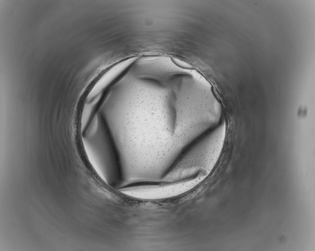 X0000096170290200802081417