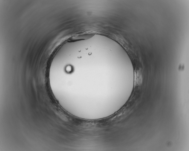 X0000096170291200802081417