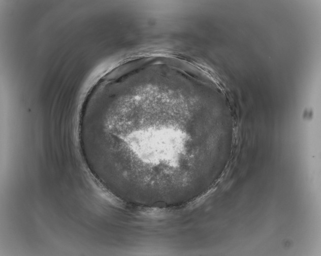 X0000096170293200802081417