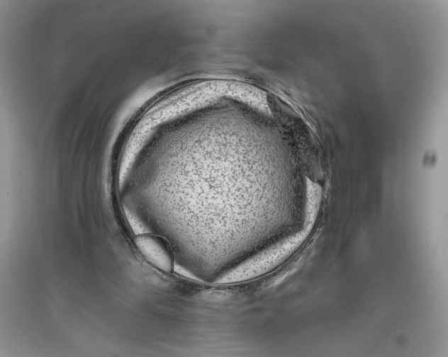 X0000096170294200802081417