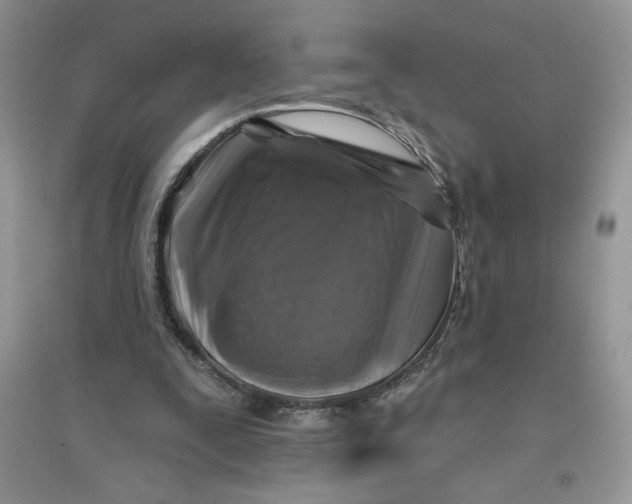 X0000096170295200802081417