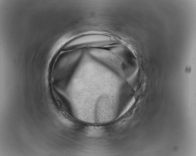 X0000096170296200802081417