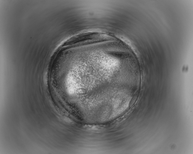 X0000096170297200802081417