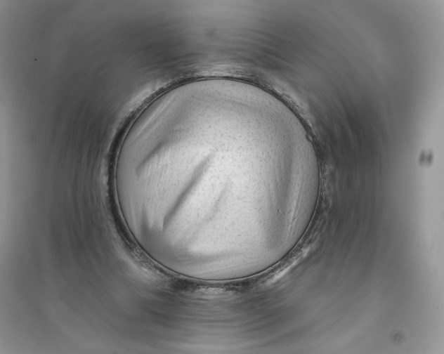 X0000096170298200802081417