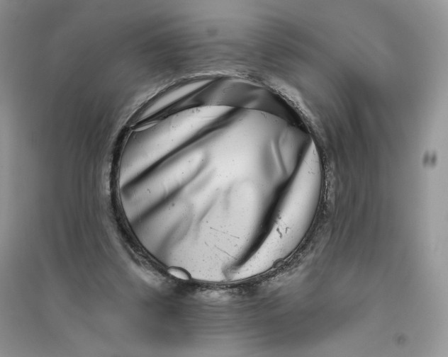 X0000096170299200802081417