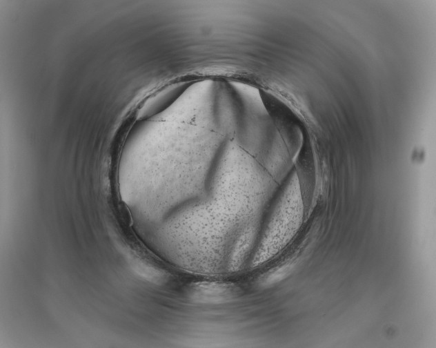 X0000096170300200802081417