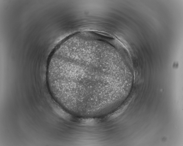 X0000096170301200802081417