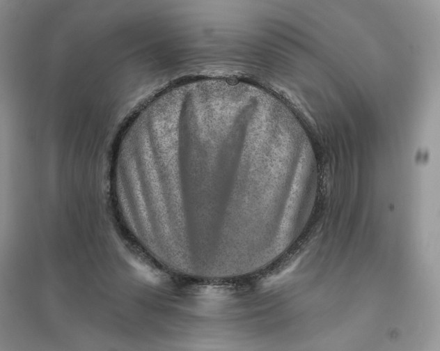 X0000096170303200802081417