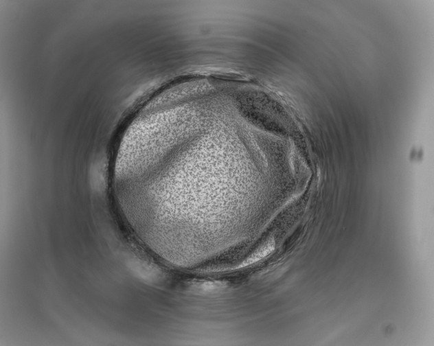 X0000096170304200802081417