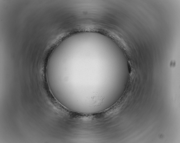 X0000096170306200802081417