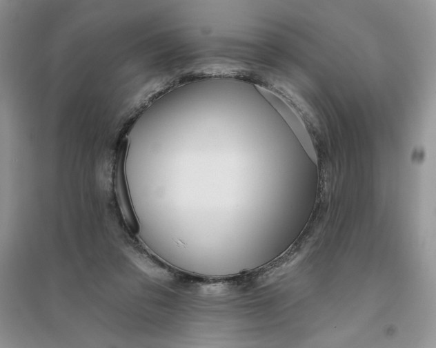 X0000096170309200802081417