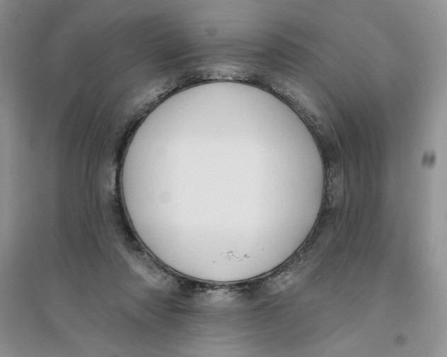 X0000096170310200802081417