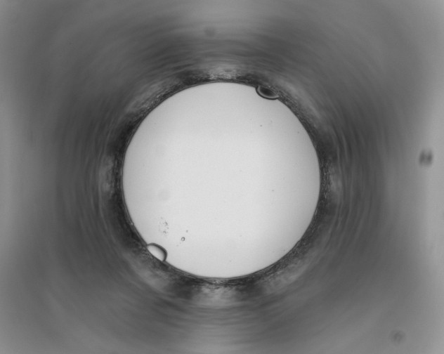 X0000096170311200802081417