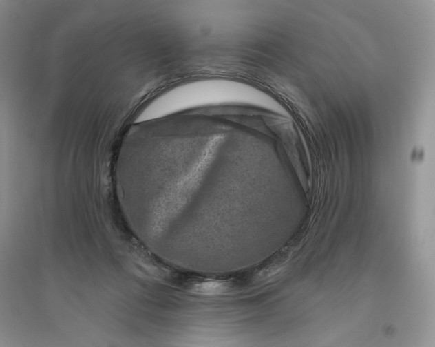 X0000096170312200802081417