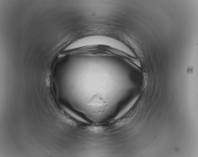 X0000096170313200802081417