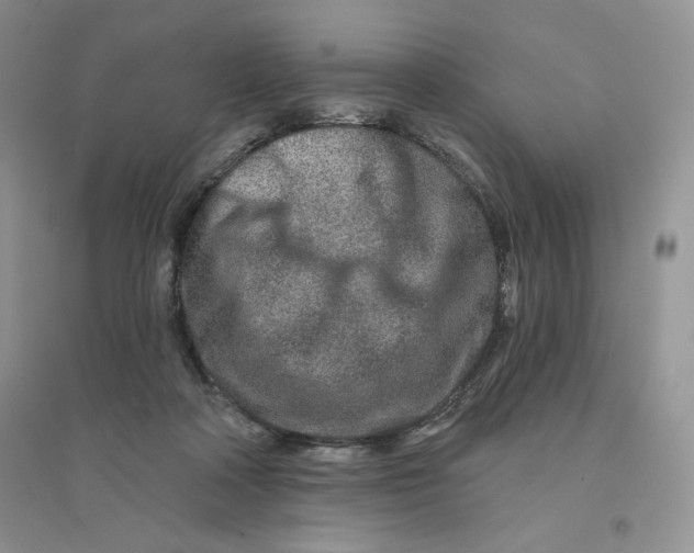 X0000096170314200802081417