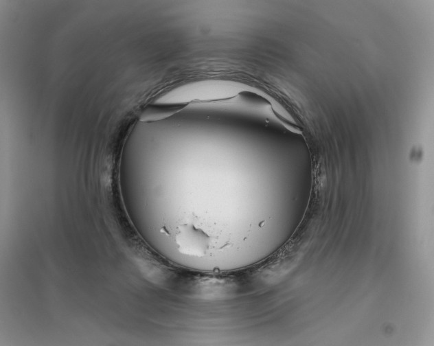 X0000096170315200802081417