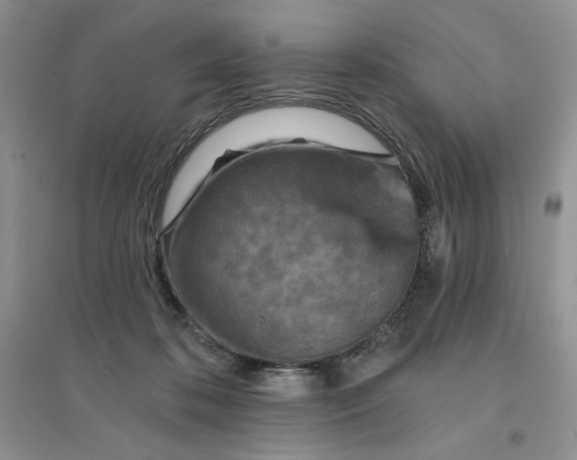 X0000096170316200802081417