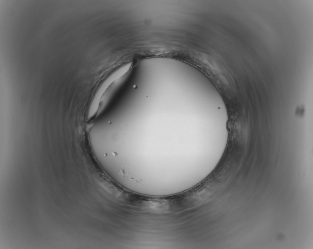 X0000096170317200802081417