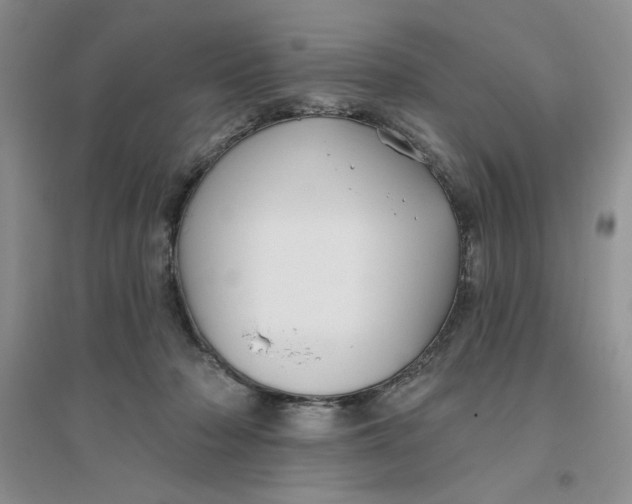 X0000096170318200802081417