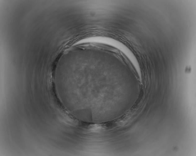 X0000096170320200802081417