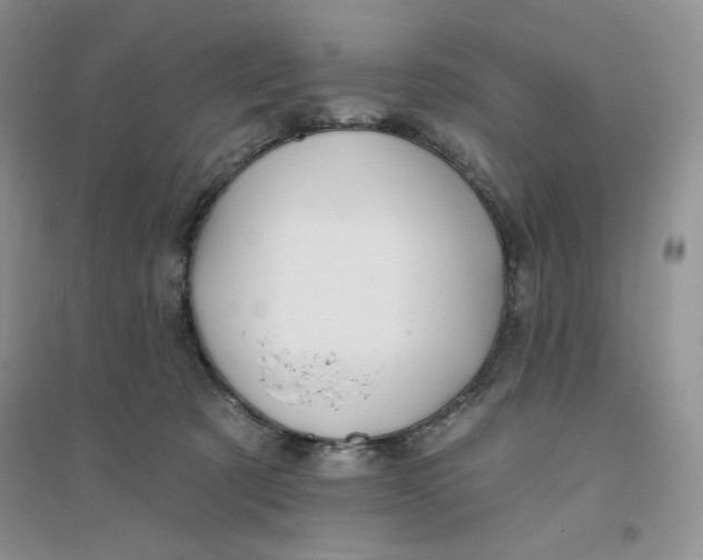 X0000096170321200802081417