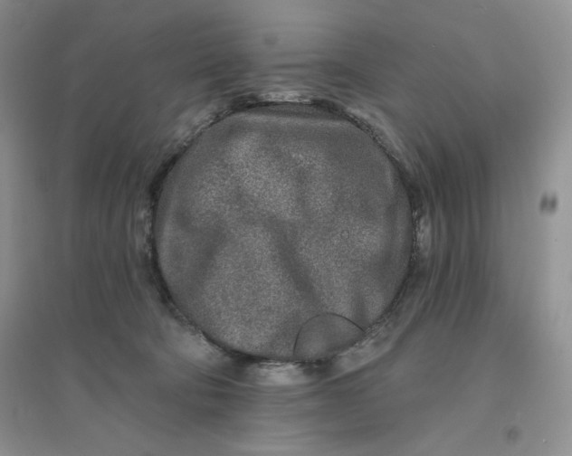 X0000096170322200802081417