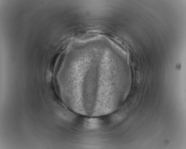 X0000096170324200802081417