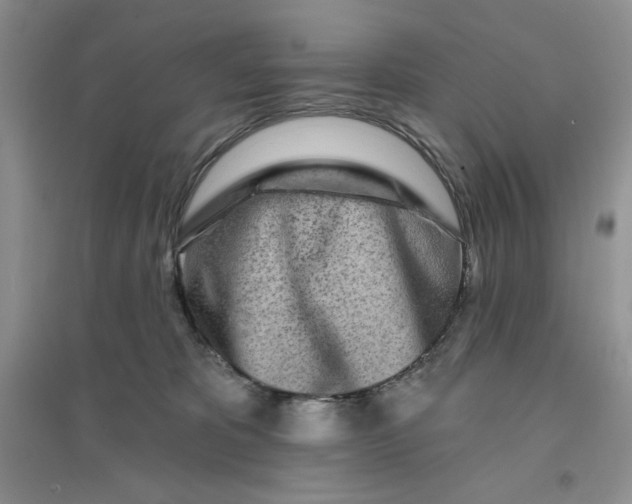 X0000096170325200802081417