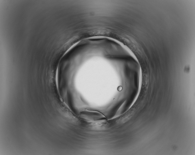 X0000096170326200802081417