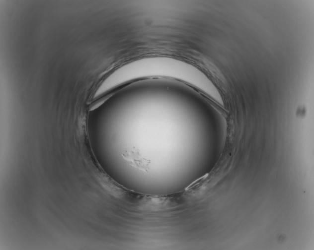 X0000096170329200802081417