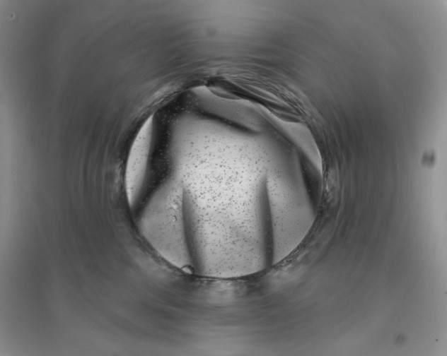 X0000096170330200802081417