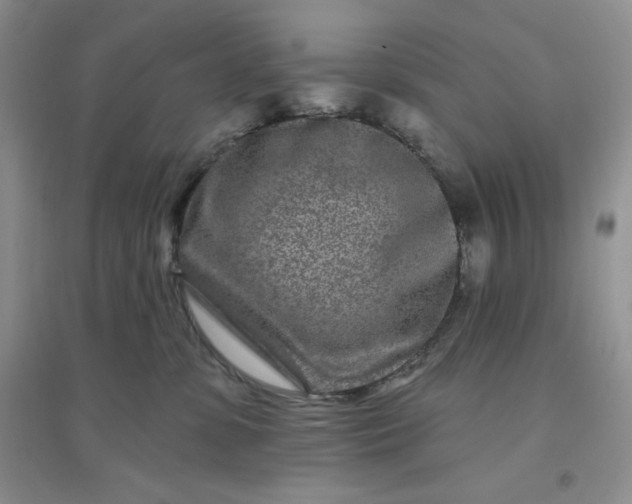 X0000096170331200802081417