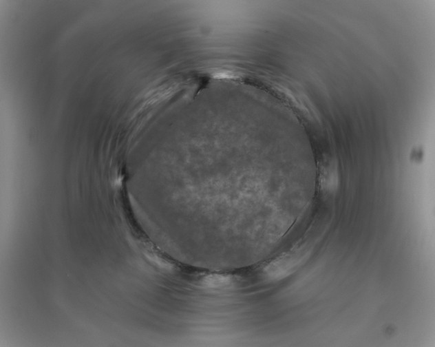 X0000096170332200802081417