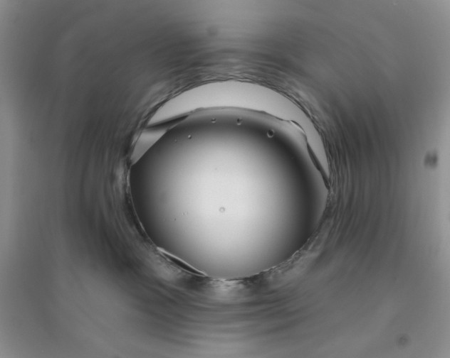 X0000096170333200802081417