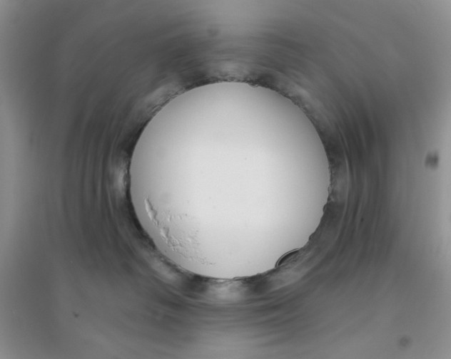 X0000096170334200802081417