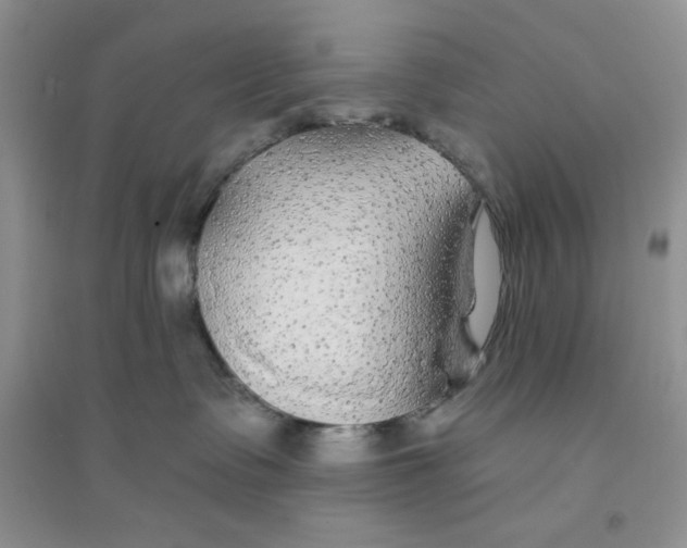 X0000096170335200802081417