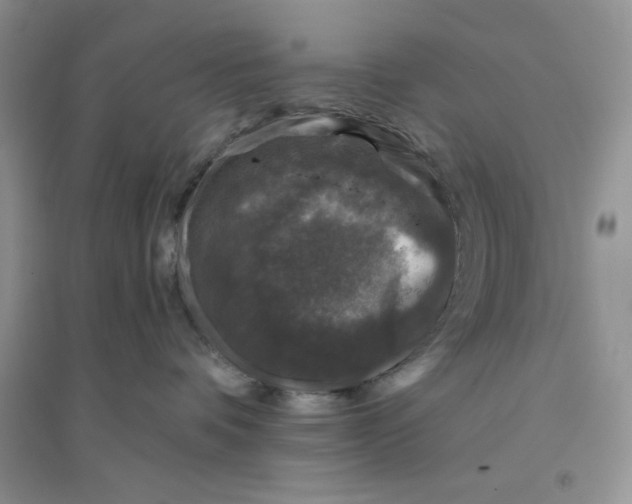 X0000096170336200802081417